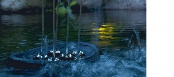 Oase Water Starlet schwimmendes Wasserspiel